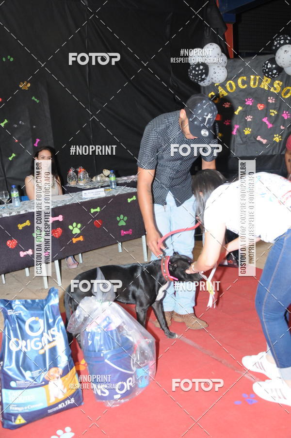 Buy your photos of the eventCo Curso Desfile de Ces on Fotop