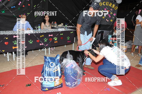 Buy your photos of the eventCo Curso Desfile de Ces on Fotop