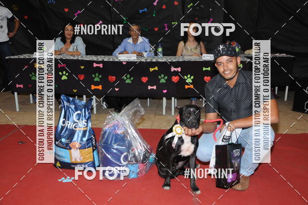 Buy your photos of the eventCo Curso Desfile de Ces on Fotop