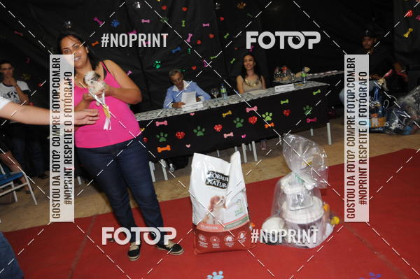 Buy your photos of the eventCo Curso Desfile de Ces on Fotop