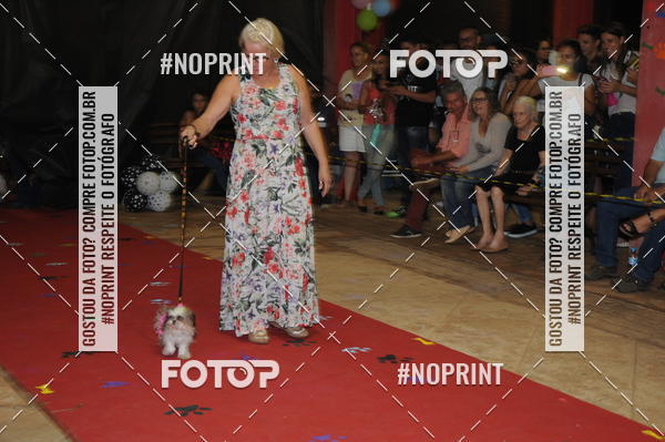 Buy your photos of the eventCo Curso Desfile de Ces on Fotop