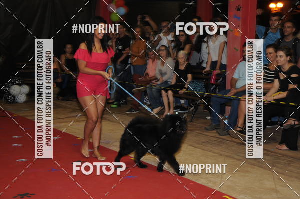 Buy your photos of the eventCo Curso Desfile de Ces on Fotop