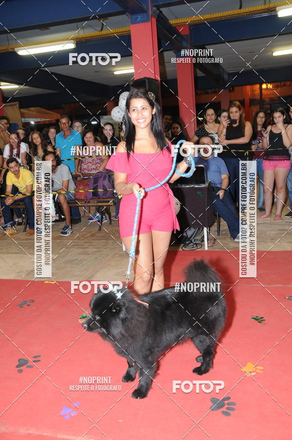 Buy your photos of the eventCo Curso Desfile de Ces on Fotop