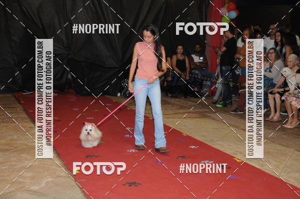 Buy your photos of the eventCo Curso Desfile de Ces on Fotop
