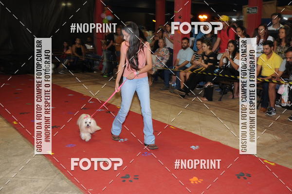 Buy your photos of the eventCo Curso Desfile de Ces on Fotop