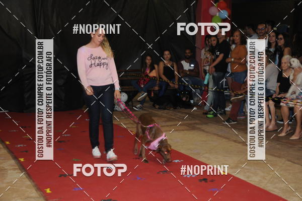 Buy your photos of the eventCo Curso Desfile de Ces on Fotop