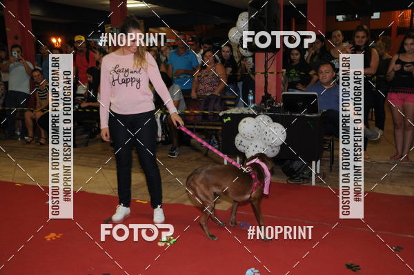 Buy your photos of the eventCo Curso Desfile de Ces on Fotop