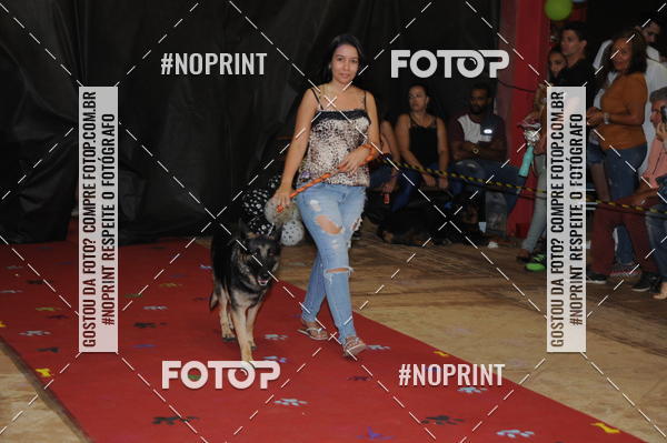 Buy your photos of the eventCo Curso Desfile de Ces on Fotop