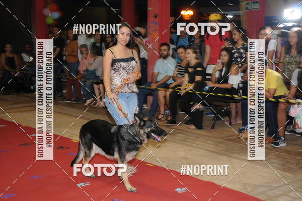 Buy your photos of the eventCo Curso Desfile de Ces on Fotop