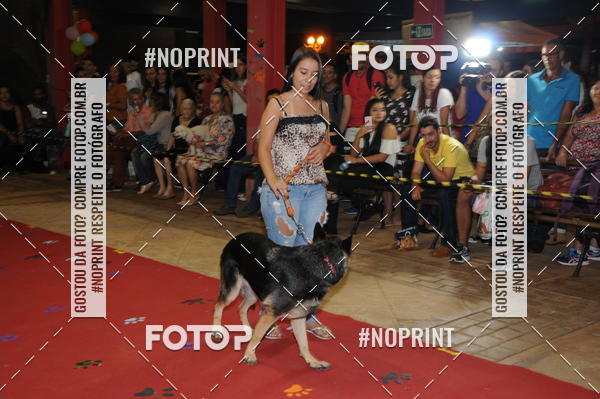 Buy your photos of the eventCo Curso Desfile de Ces on Fotop