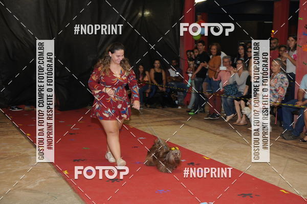 Buy your photos of the eventCo Curso Desfile de Ces on Fotop