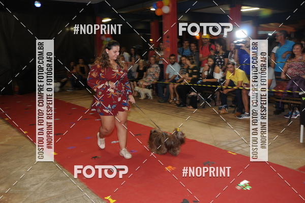 Buy your photos of the eventCo Curso Desfile de Ces on Fotop