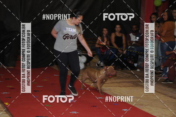 Buy your photos of the eventCo Curso Desfile de Ces on Fotop