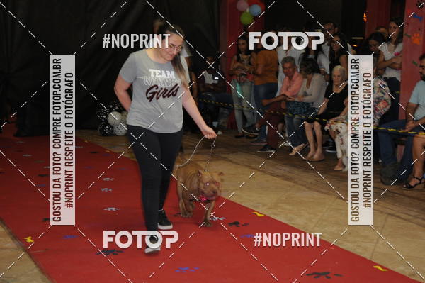 Buy your photos of the eventCo Curso Desfile de Ces on Fotop