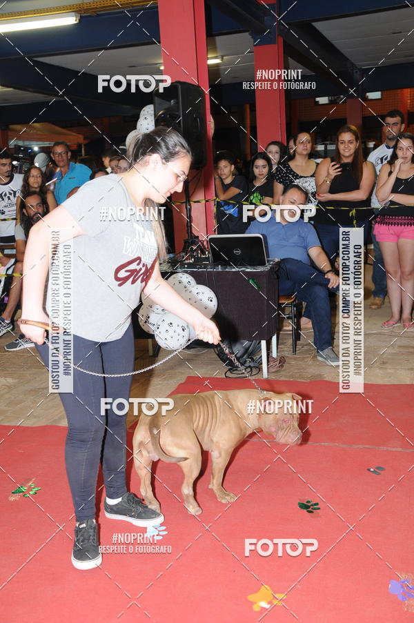 Buy your photos of the eventCo Curso Desfile de Ces on Fotop