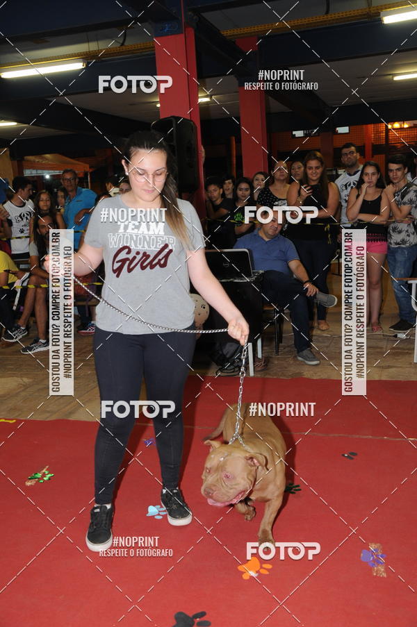 Buy your photos of the eventCo Curso Desfile de Ces on Fotop