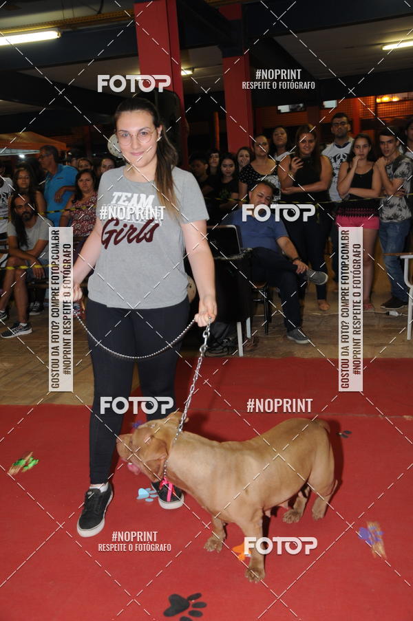 Buy your photos of the eventCo Curso Desfile de Ces on Fotop