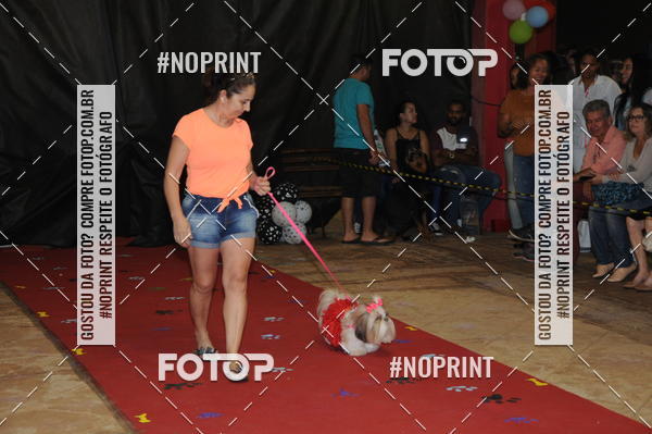 Buy your photos of the eventCo Curso Desfile de Ces on Fotop