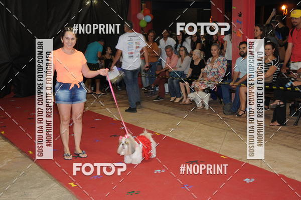 Buy your photos of the eventCo Curso Desfile de Ces on Fotop