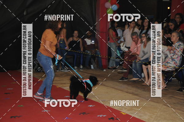 Buy your photos of the eventCo Curso Desfile de Ces on Fotop