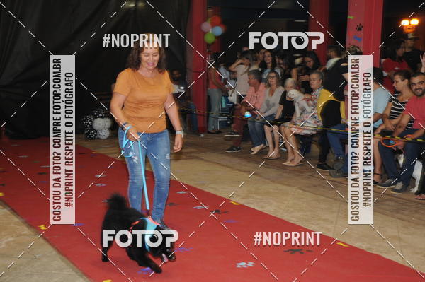 Buy your photos of the eventCo Curso Desfile de Ces on Fotop