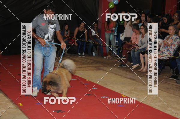 Buy your photos of the eventCo Curso Desfile de Ces on Fotop