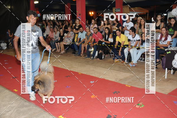 Buy your photos of the eventCo Curso Desfile de Ces on Fotop