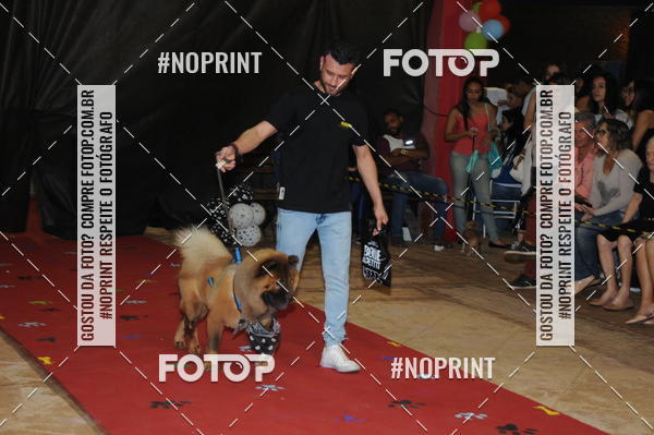 Buy your photos of the eventCo Curso Desfile de Ces on Fotop