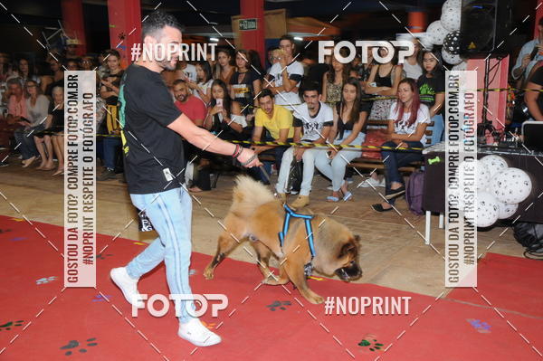 Buy your photos of the eventCo Curso Desfile de Ces on Fotop