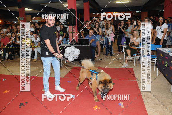Buy your photos of the eventCo Curso Desfile de Ces on Fotop