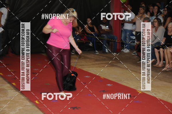 Buy your photos of the eventCo Curso Desfile de Ces on Fotop