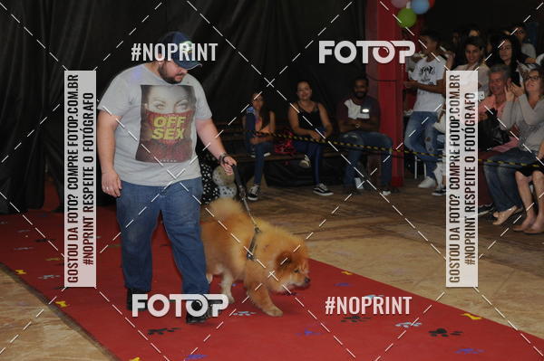 Buy your photos of the eventCo Curso Desfile de Ces on Fotop