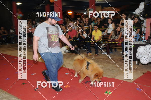 Buy your photos of the eventCo Curso Desfile de Ces on Fotop