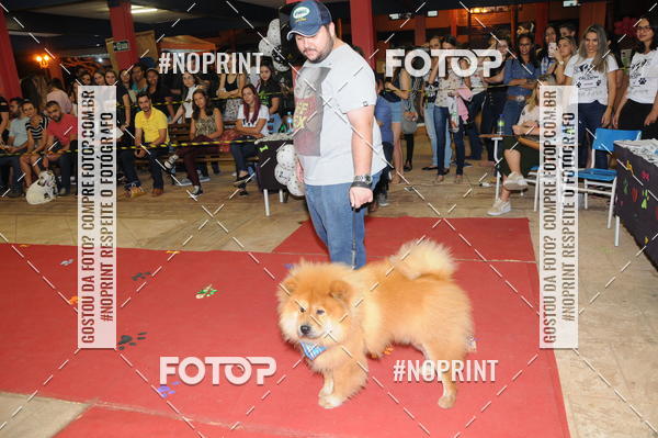 Buy your photos of the eventCo Curso Desfile de Ces on Fotop