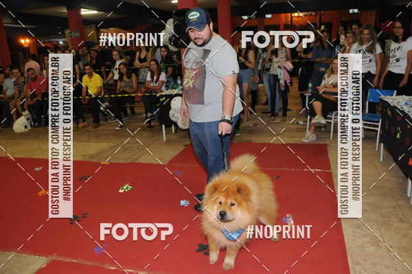 Buy your photos of the eventCo Curso Desfile de Ces on Fotop