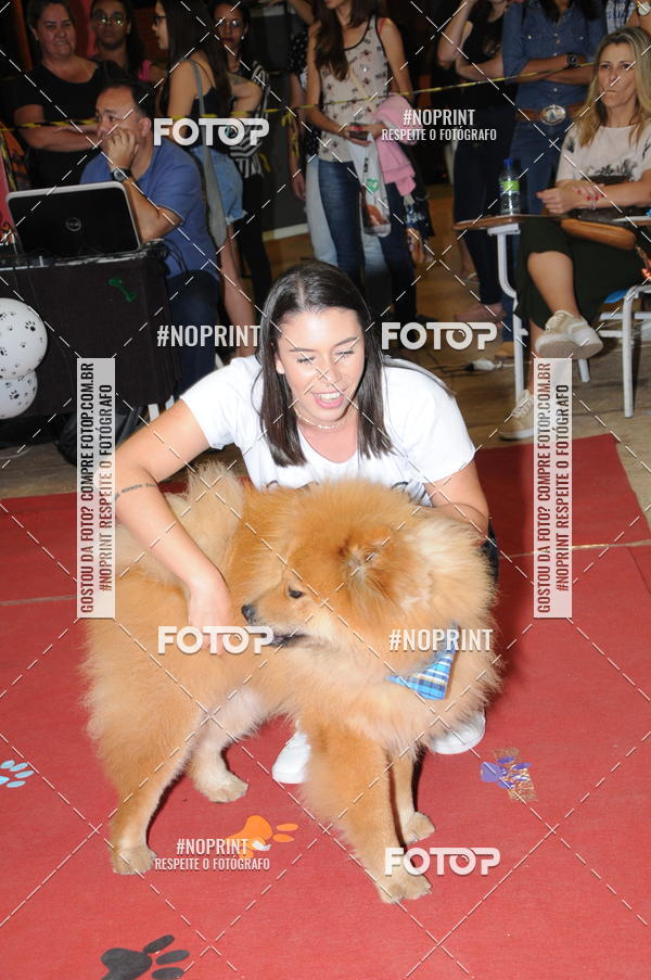 Buy your photos of the eventCo Curso Desfile de Ces on Fotop