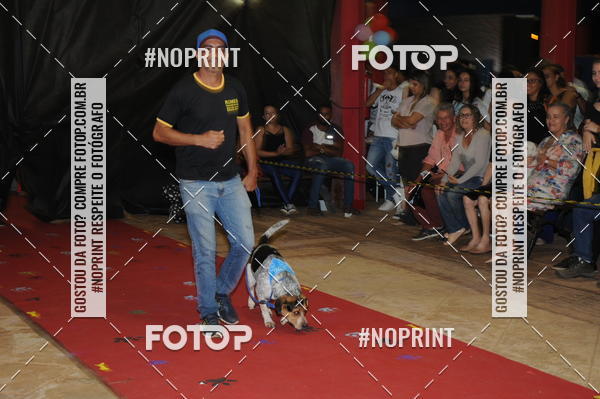 Buy your photos of the eventCo Curso Desfile de Ces on Fotop