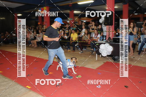 Buy your photos of the eventCo Curso Desfile de Ces on Fotop