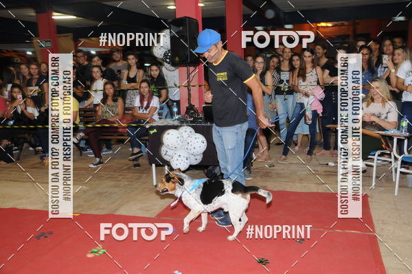 Buy your photos of the eventCo Curso Desfile de Ces on Fotop