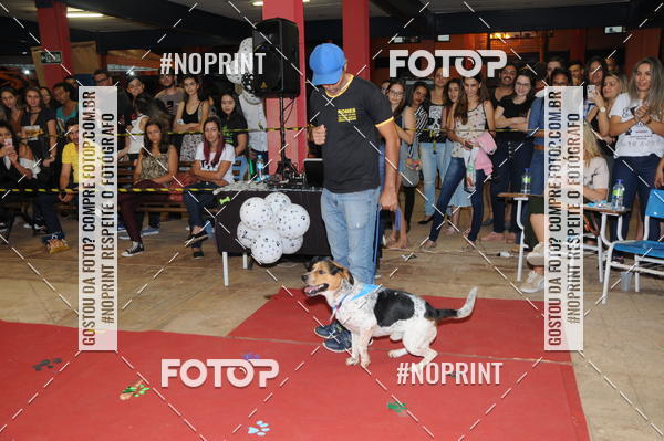 Buy your photos of the eventCo Curso Desfile de Ces on Fotop