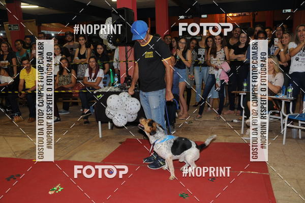 Buy your photos of the eventCo Curso Desfile de Ces on Fotop