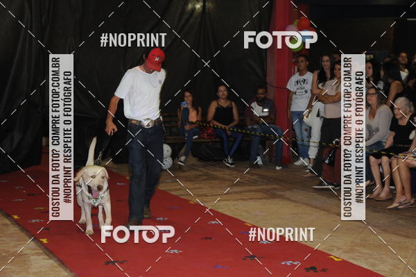 Buy your photos of the eventCo Curso Desfile de Ces on Fotop