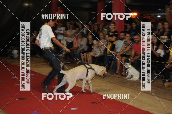 Buy your photos of the eventCo Curso Desfile de Ces on Fotop