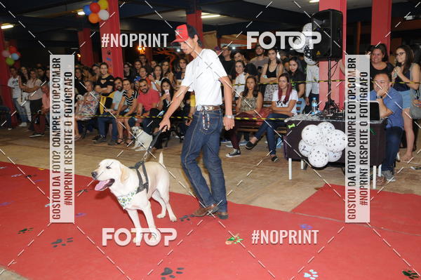 Buy your photos of the eventCo Curso Desfile de Ces on Fotop