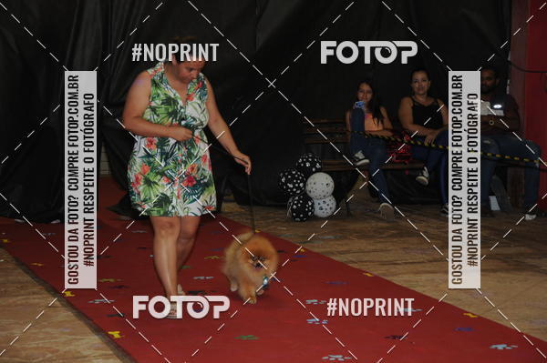 Buy your photos of the eventCo Curso Desfile de Ces on Fotop