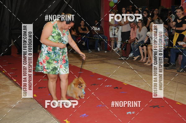 Buy your photos of the eventCo Curso Desfile de Ces on Fotop