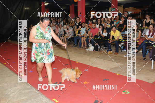 Buy your photos of the eventCo Curso Desfile de Ces on Fotop