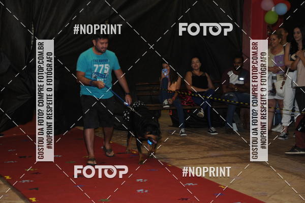 Buy your photos of the eventCo Curso Desfile de Ces on Fotop