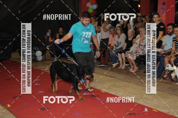 Buy your photos of the eventCo Curso Desfile de Ces on Fotop