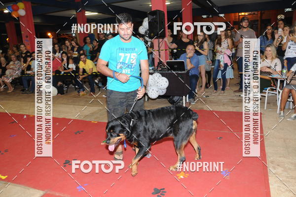 Buy your photos of the eventCo Curso Desfile de Ces on Fotop
